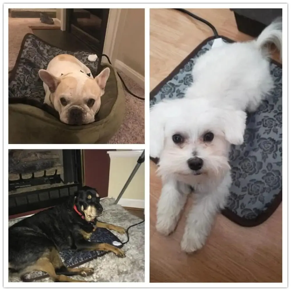 Adjustable Electric Warm Power-off Protection Waterproof Bite-resistant Heating Mat for Dogs & Cats