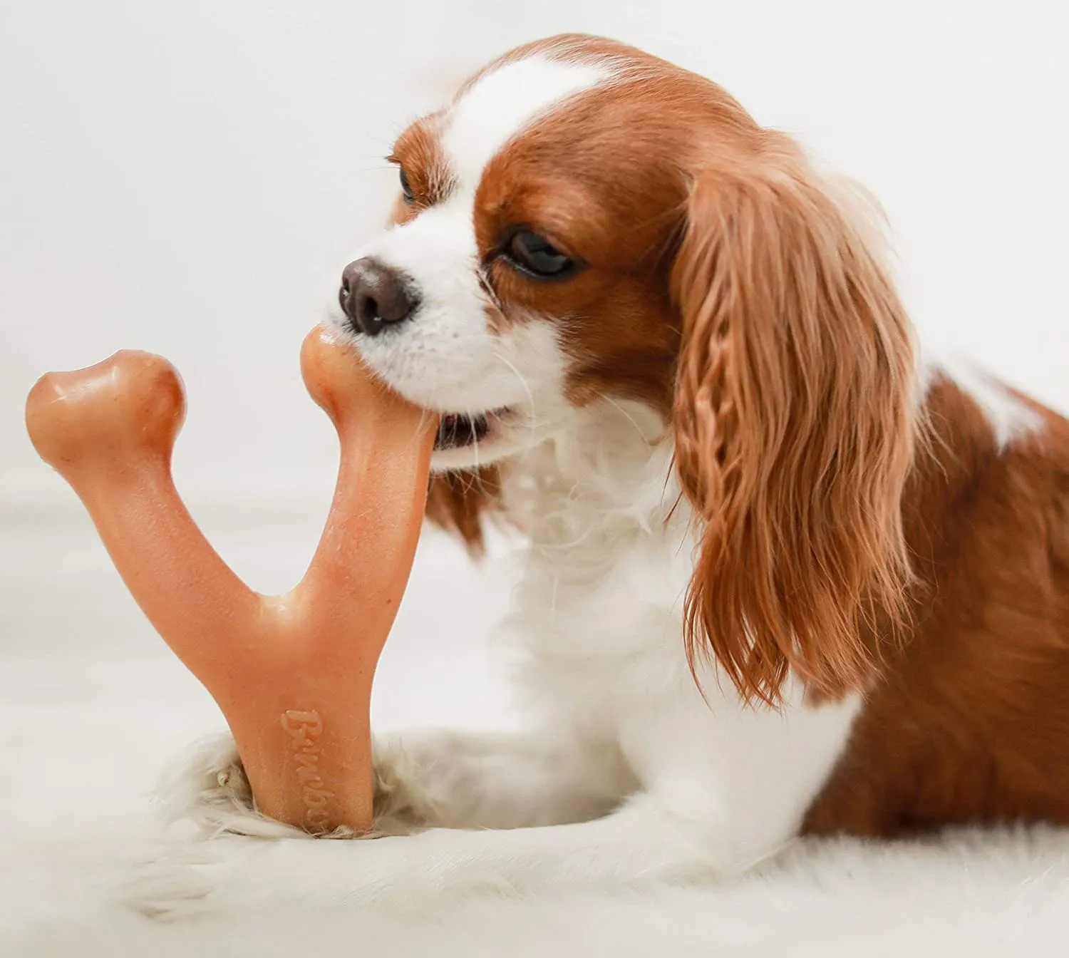 Benebone - Wishbone - Dog Chew