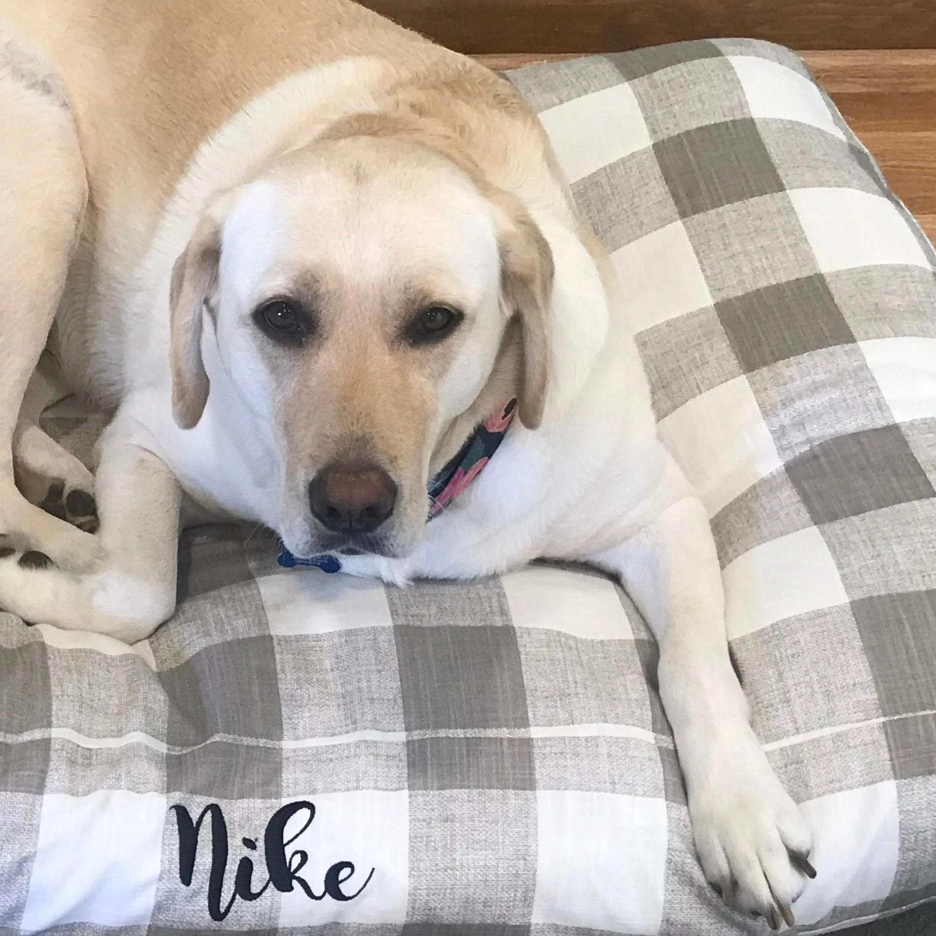 Buffalo Plaid Dog Beds and Replacement Duvet Covers with Personalization