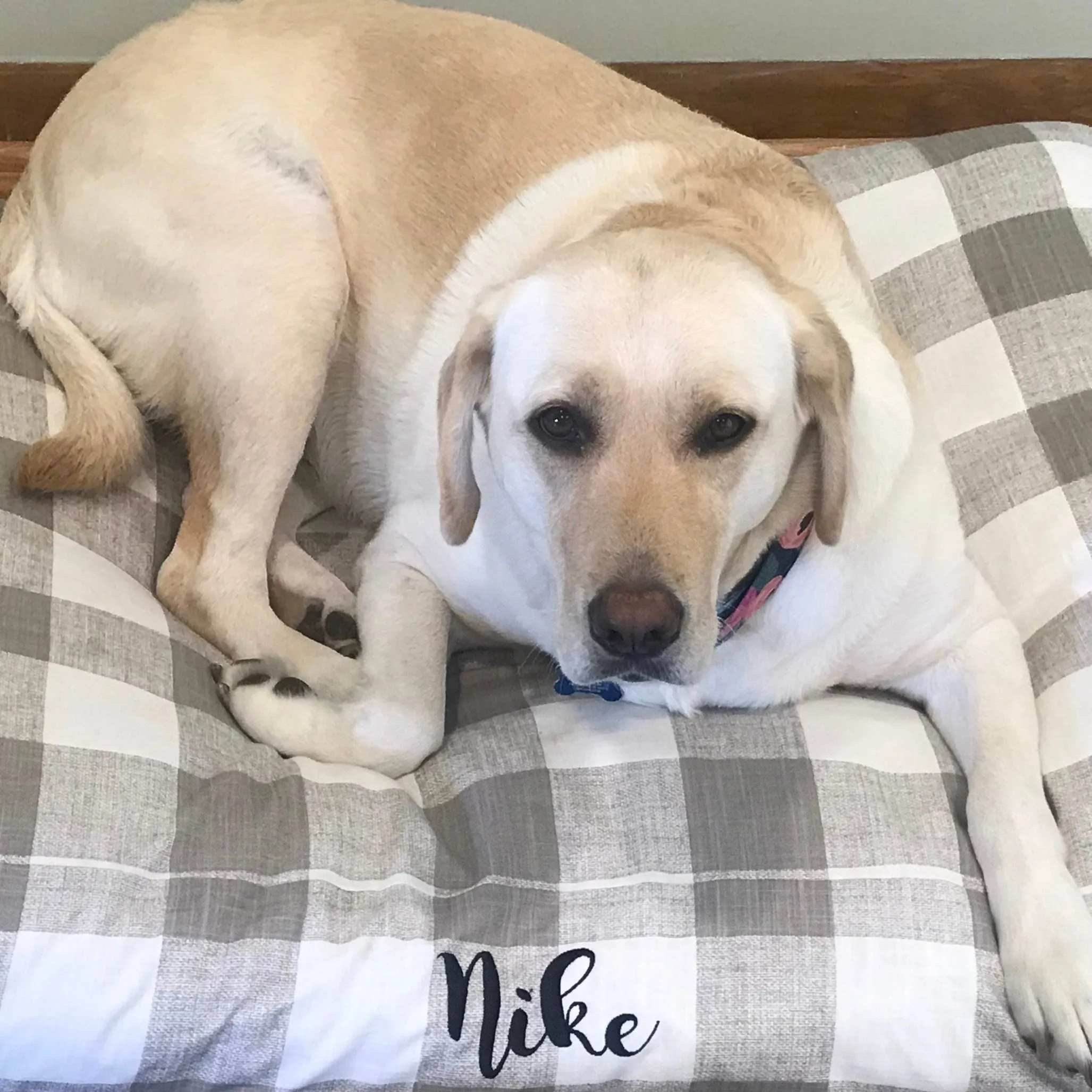 Buffalo Plaid Dog Beds and Replacement Duvet Covers with Personalization
