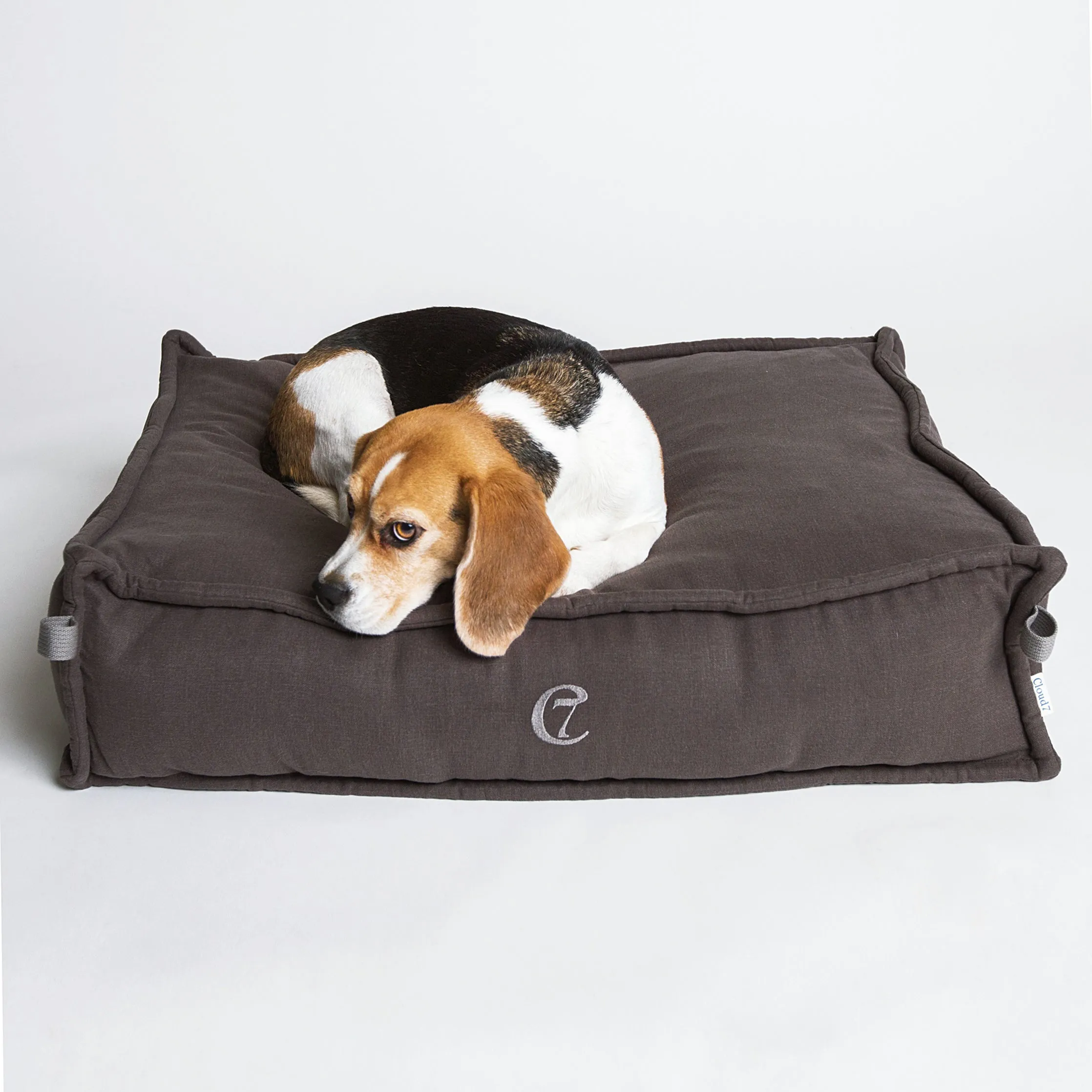 Cozy in Mocca from Cloud 7