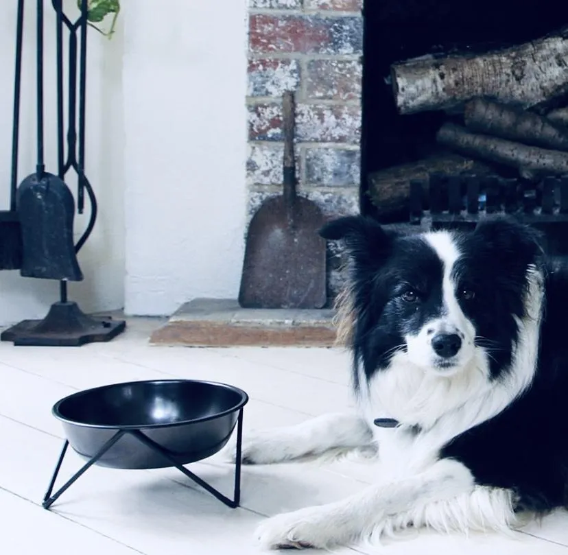 ELEVATED WOOF LUXE BLACK ON BLACK DOG BOWL WITH BLACK STAND - BENDO