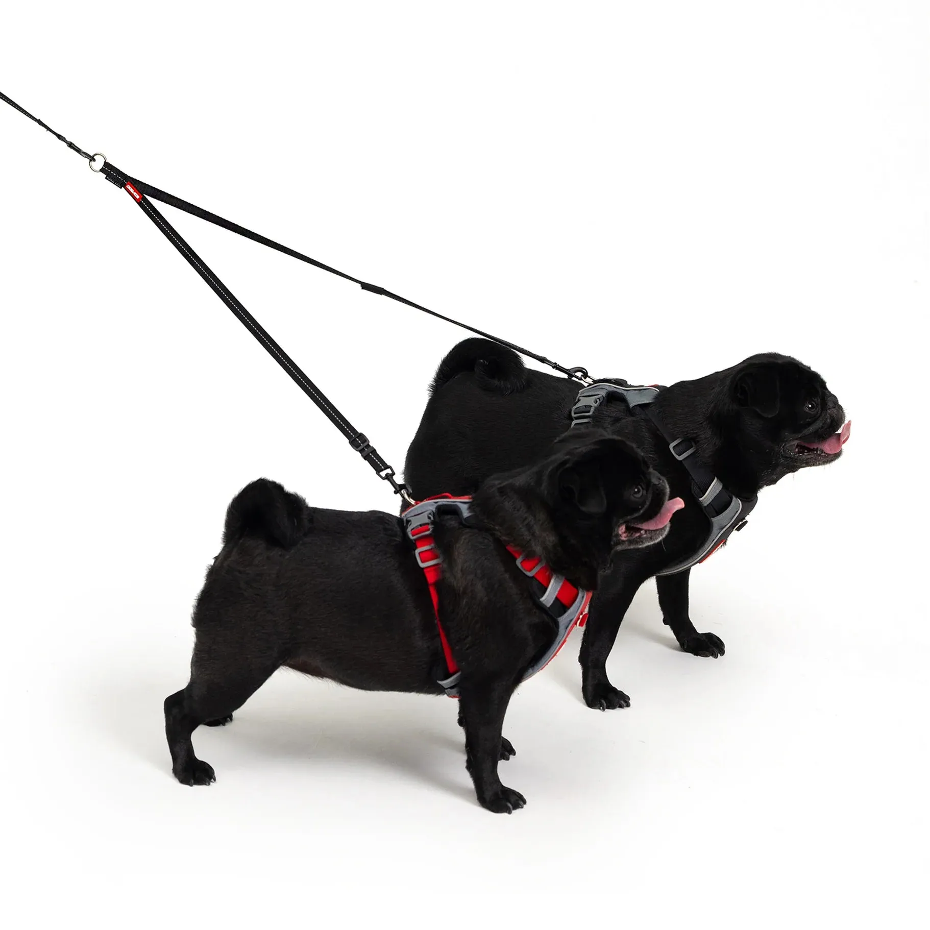 EzyDog Soft Touch Adjustable Lite Coupler Black 35-60cm