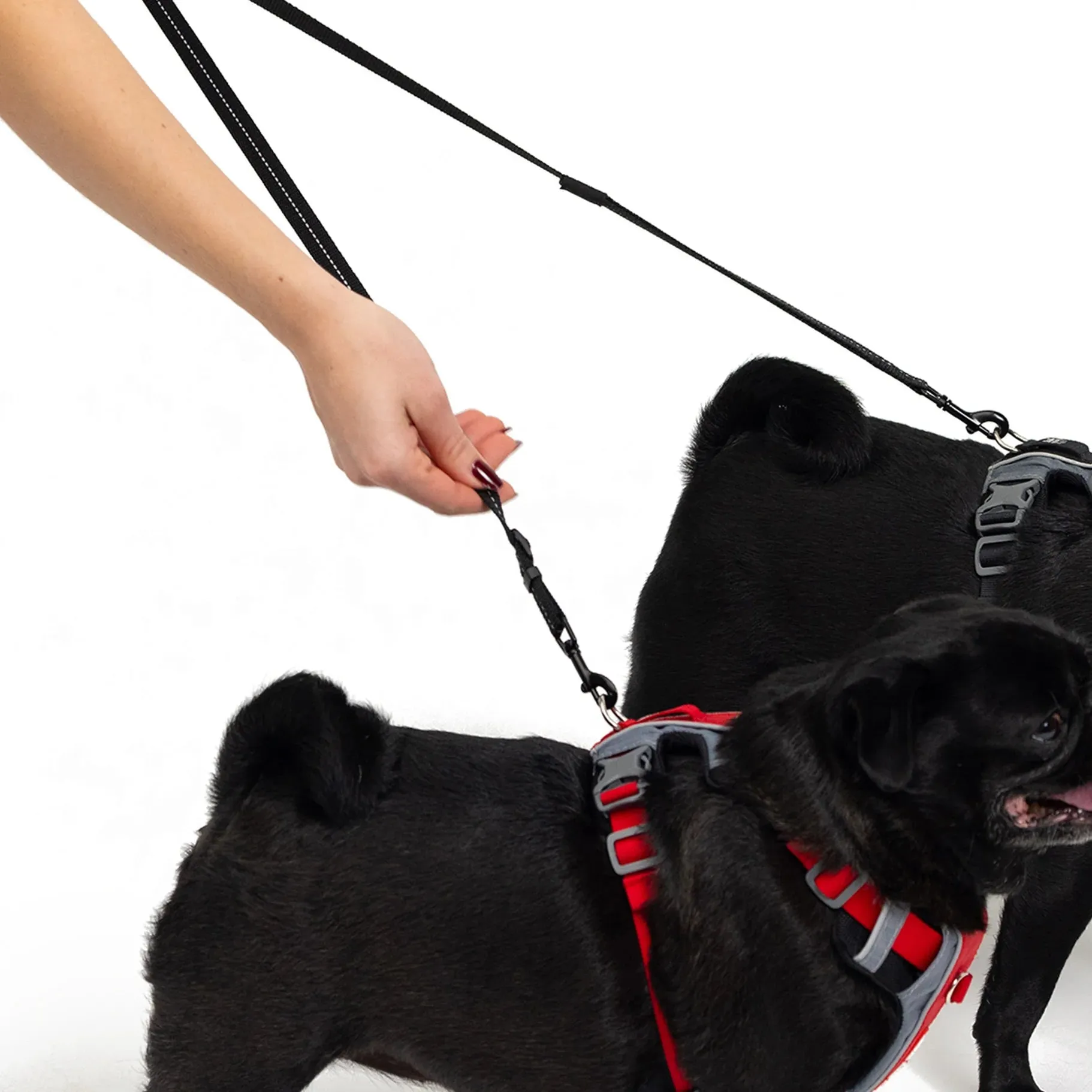 EzyDog Soft Touch Adjustable Lite Coupler Black 35-60cm