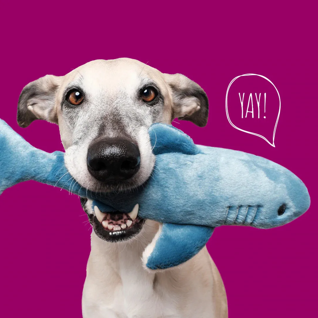 Fluff & Tuff Tank Shark Plush Dog Toy - Wholesale