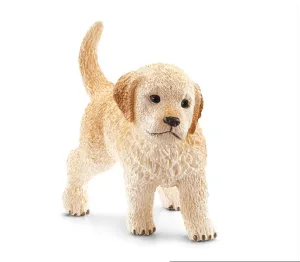 Golden Retriever Puppy