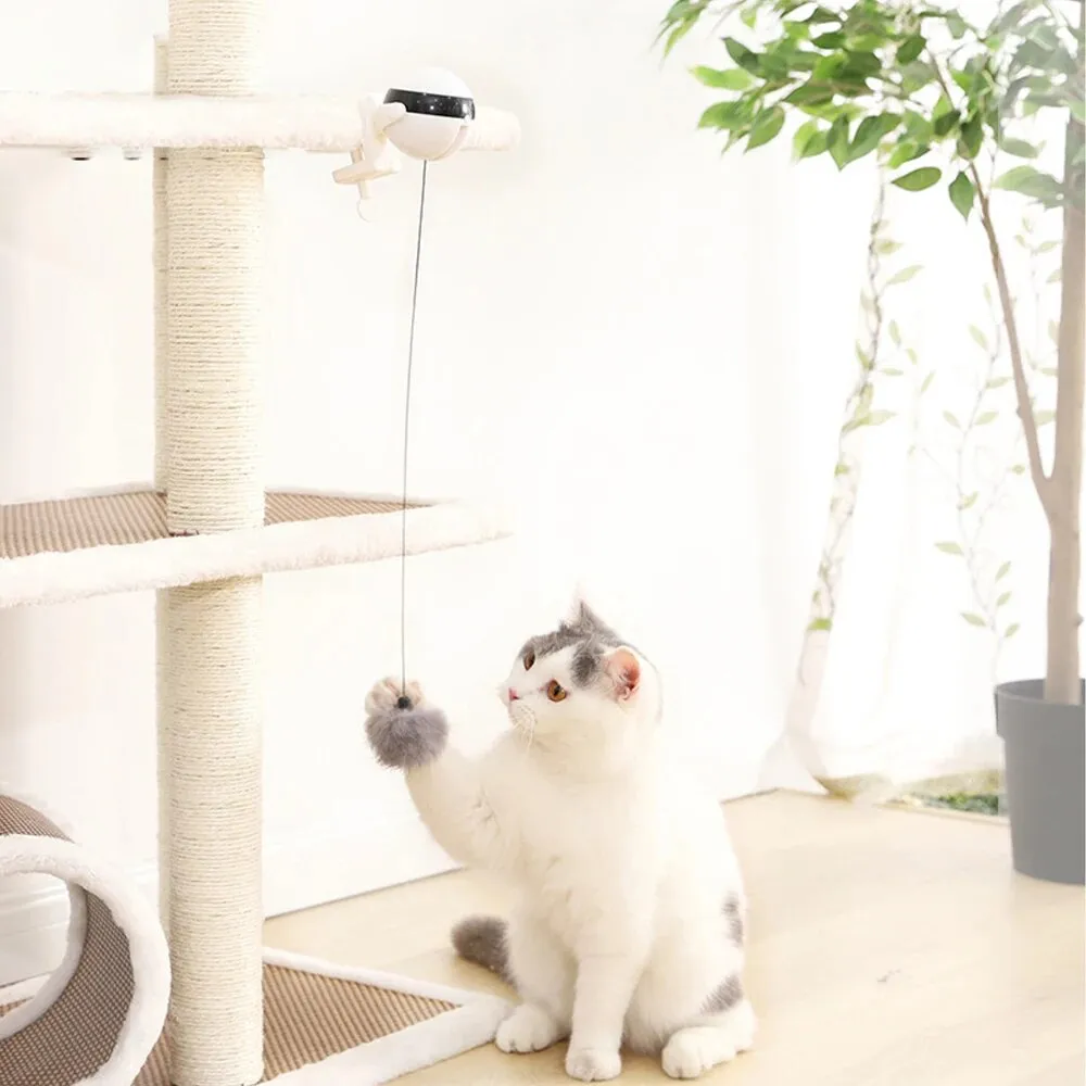 Interactive Electric Cat Ball Toy: Enticing Puzzle Smart Pet Teaser