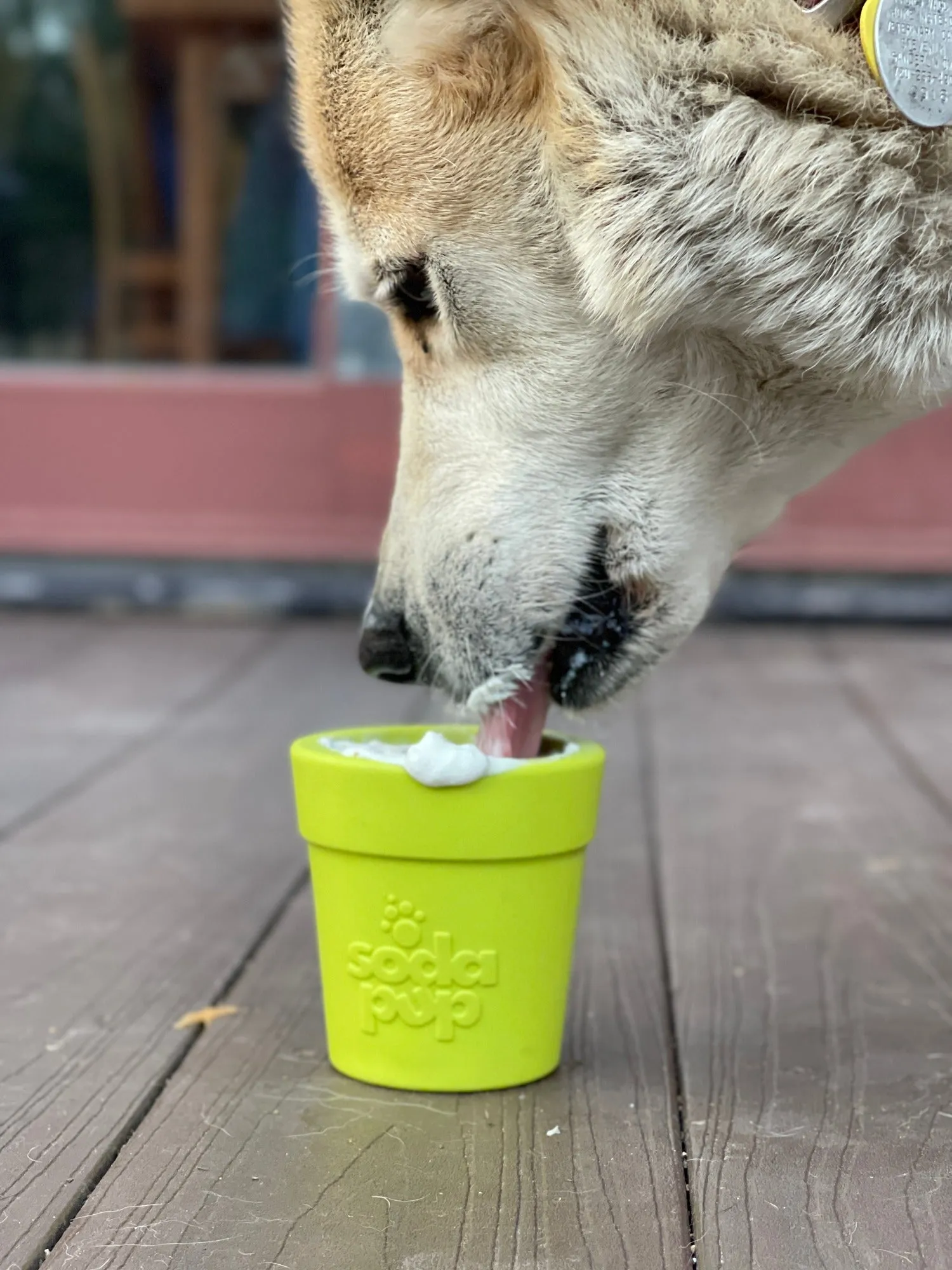 Large Flower Pot Durable PUP-X Rubber eCup Treat Dispenser & Enrichment Toy