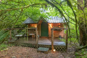 Mount Rainier Retreat - Camper Cabin - Timbuktu