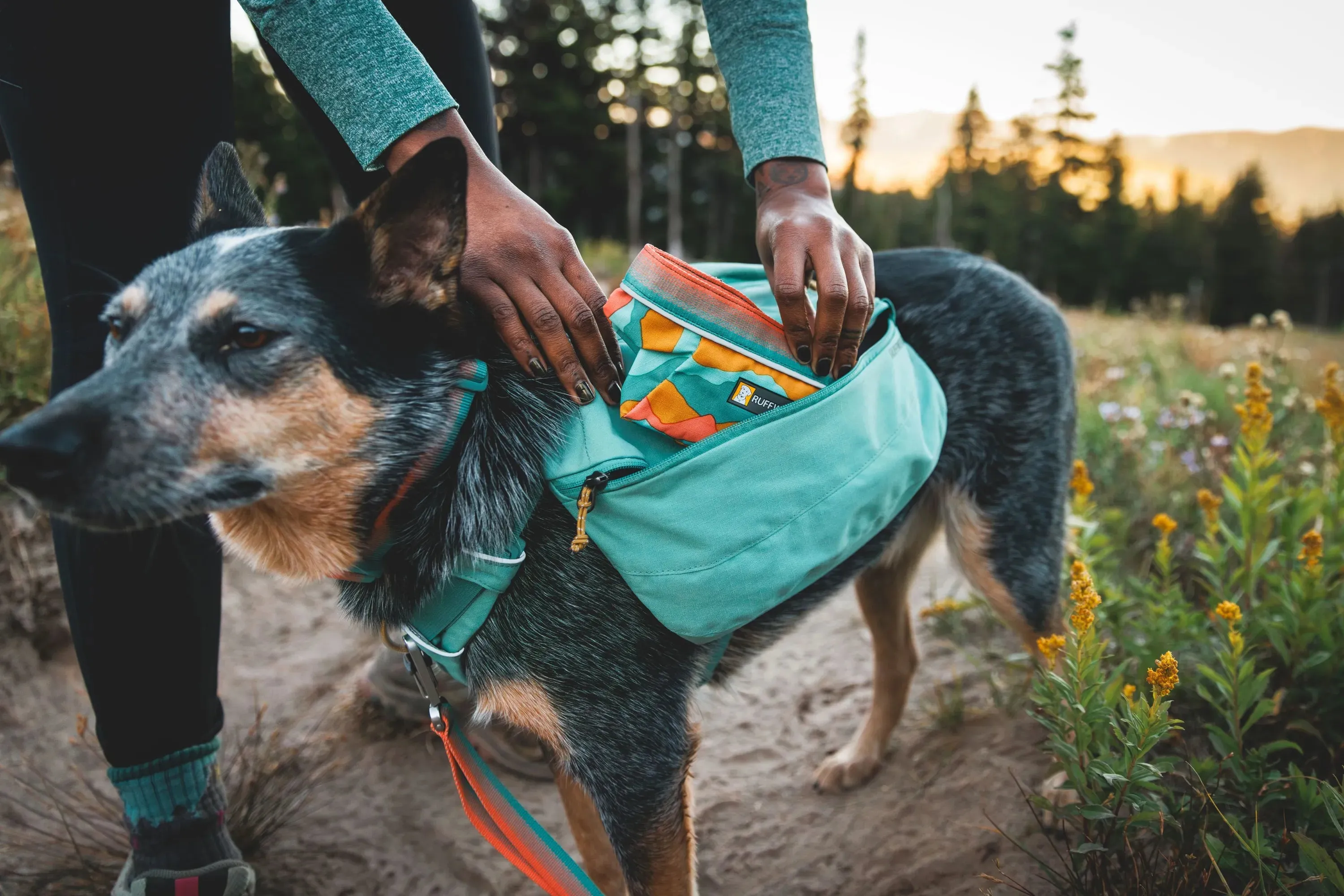 Ruffwear Quencher™ Collapsible Dog Food & Water Bowl (Coastal Mountains)