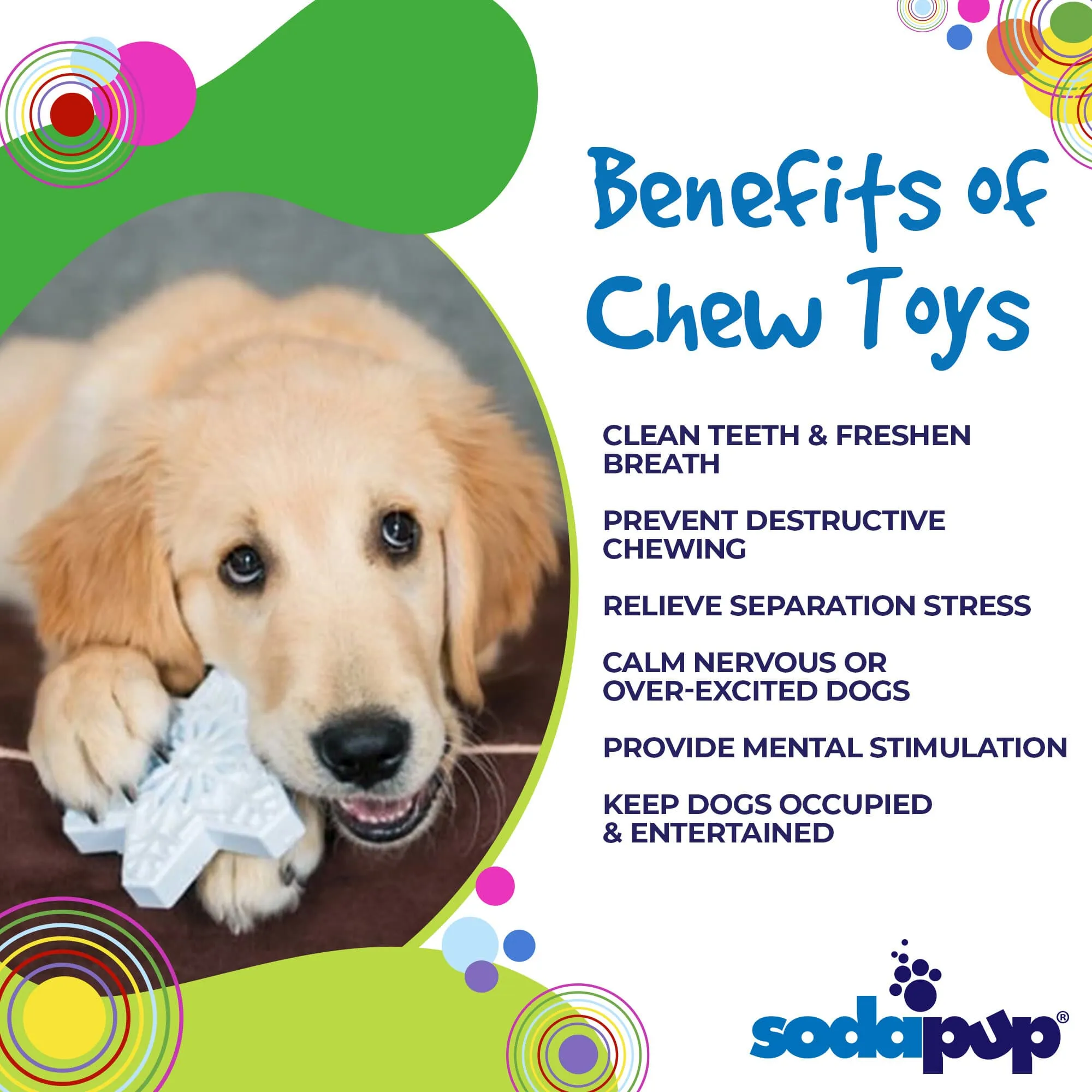 Snowflake eChew Ultra Durable Nylon Dog Chew Toy