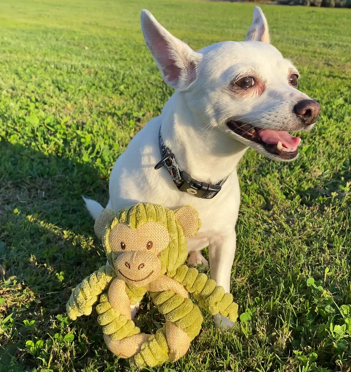 SOLD OUT - Mini Hemp Twist Monkey and Elephant Dog Toys